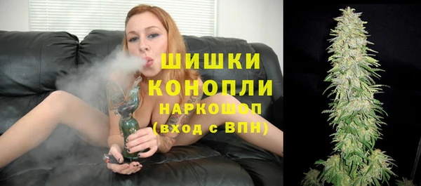 молекула духа Медногорск
