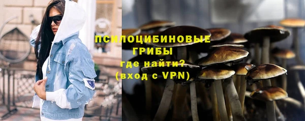 молекула духа Медногорск