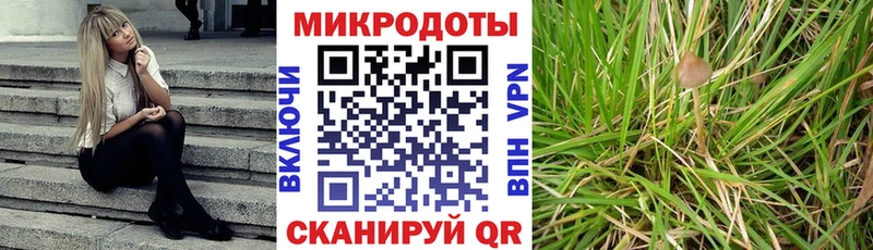Галлюциногенные грибы мухоморы  Купить  Златоуст 